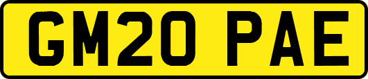 GM20PAE