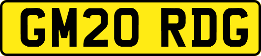 GM20RDG