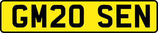 GM20SEN