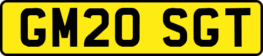 GM20SGT