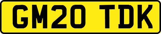 GM20TDK