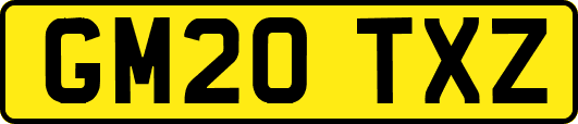 GM20TXZ