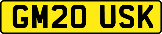 GM20USK