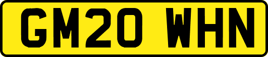 GM20WHN