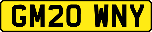 GM20WNY