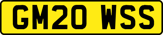 GM20WSS