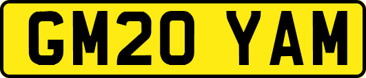 GM20YAM