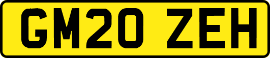 GM20ZEH