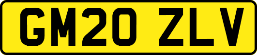 GM20ZLV