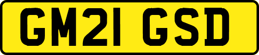 GM21GSD