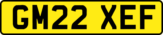 GM22XEF