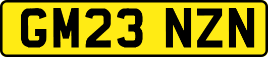 GM23NZN