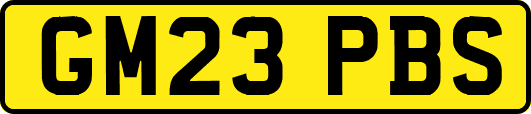GM23PBS