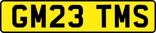 GM23TMS