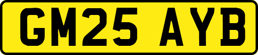 GM25AYB