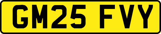 GM25FVY