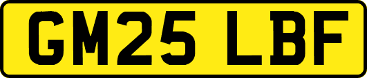 GM25LBF
