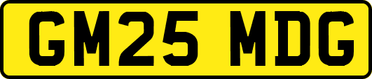 GM25MDG