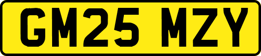 GM25MZY