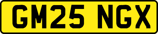 GM25NGX