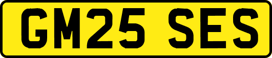 GM25SES