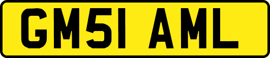 GM51AML