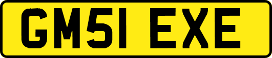 GM51EXE