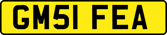 GM51FEA