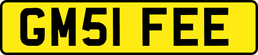 GM51FEE