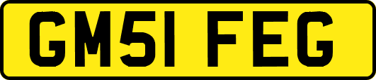 GM51FEG