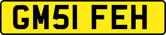 GM51FEH