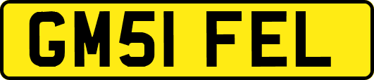 GM51FEL