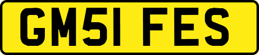 GM51FES