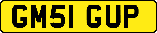 GM51GUP