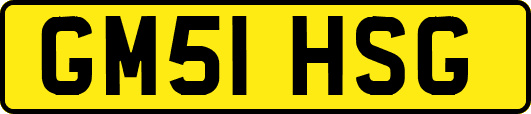 GM51HSG