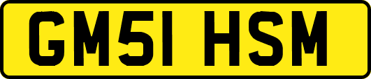 GM51HSM