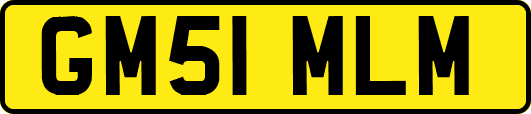 GM51MLM