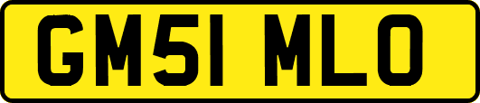 GM51MLO