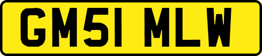 GM51MLW