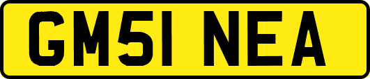 GM51NEA
