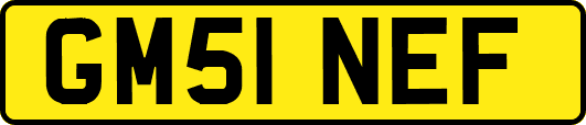 GM51NEF