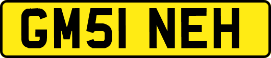 GM51NEH
