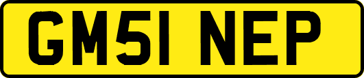 GM51NEP
