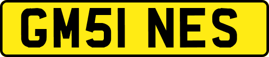 GM51NES