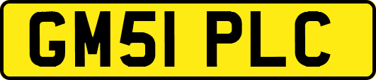 GM51PLC
