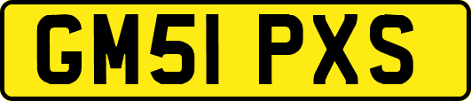 GM51PXS