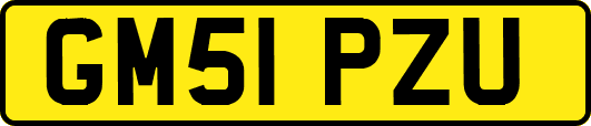 GM51PZU