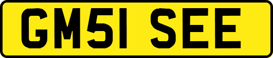 GM51SEE