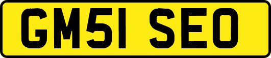 GM51SEO