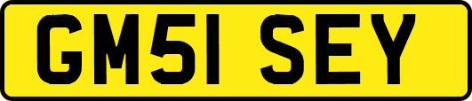 GM51SEY